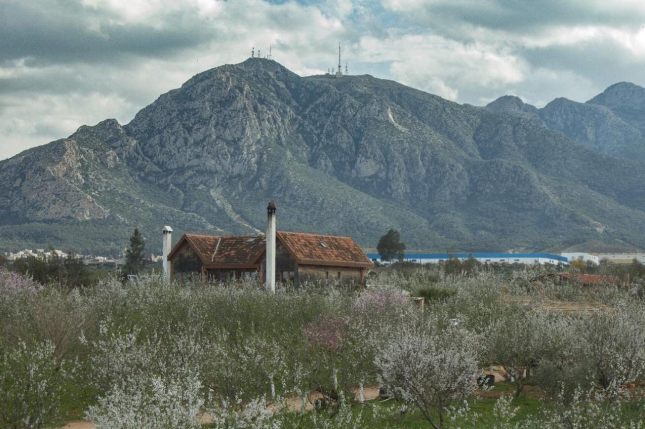 Dar Zaghouan Hotell Exteriör bild